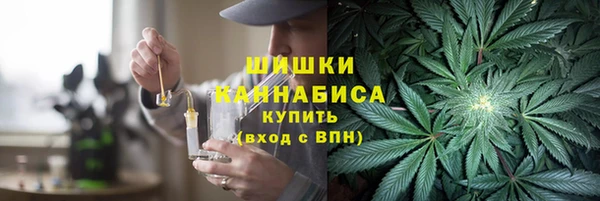 прущие грибы Армянск