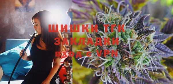 прущие грибы Армянск