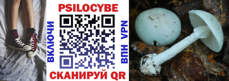 Галлюциногенные грибы Cubensis  Белебей 
